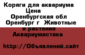 Коряги для аквариума  › Цена ­ 250 - Оренбургская обл., Оренбург г. Животные и растения » Аквариумистика   